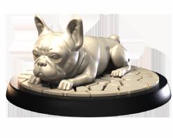 French Bulldogs (2)